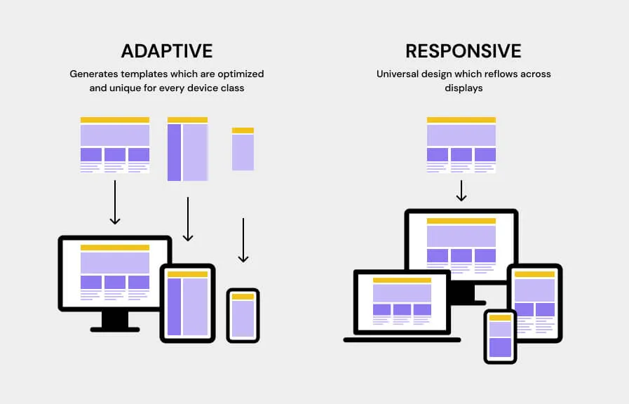Responsive & Interaction Design